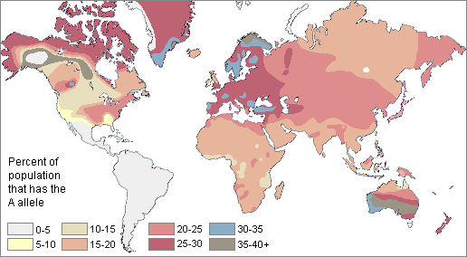 map showing the frequency of the A blood allele around the world